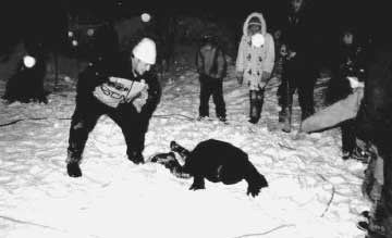 �������-���� �� ����