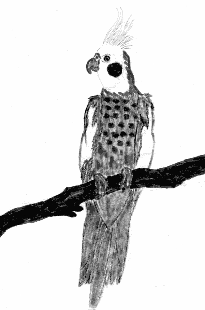 �������