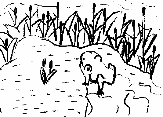 �������