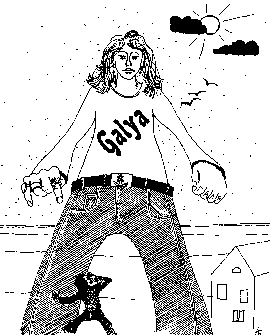 ���� �����������